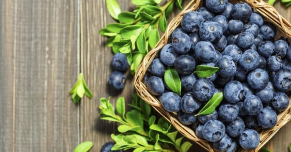 Frutas del bosque: Propiedades saludables y de temporada